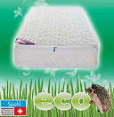 Коллекция  Sonberry Active